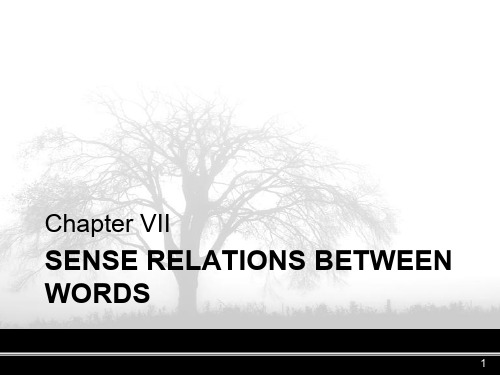 英语词汇学chapter7 sense relations