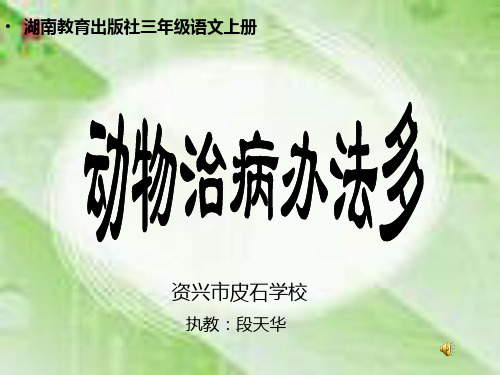 动物治病办法多