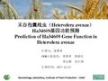 禾谷孢囊线虫(Heteroderaavenae)