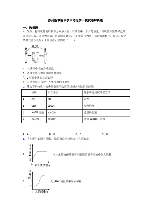 苏州新草桥中学中考化学一模试卷解析版