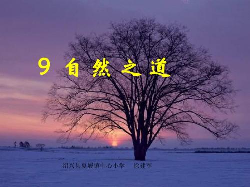 09自然之道-第二课时