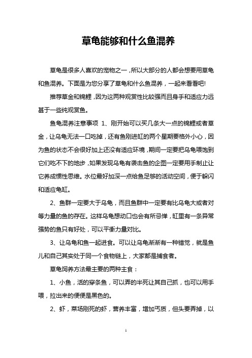 草龟能够和什么鱼混养