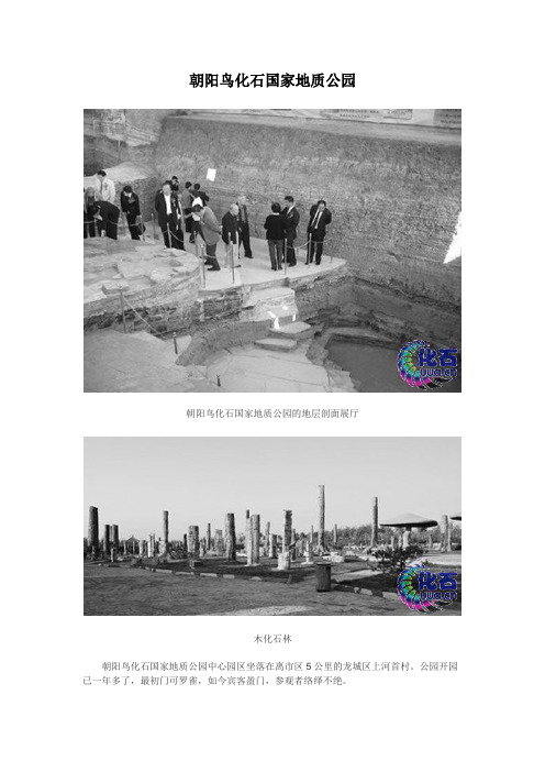 朝阳鸟化石国家地质公园