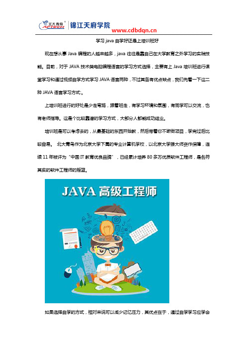 学习java自学好还是上培训班好