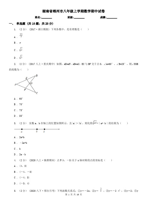 湖南省郴州市八年级上学期数学期中试卷