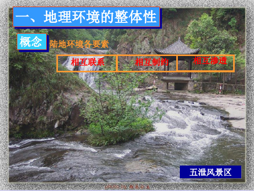 自然地理环境的整体性
