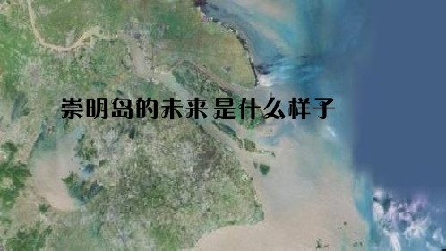 问题研究 崇明岛的未来是什么样子10