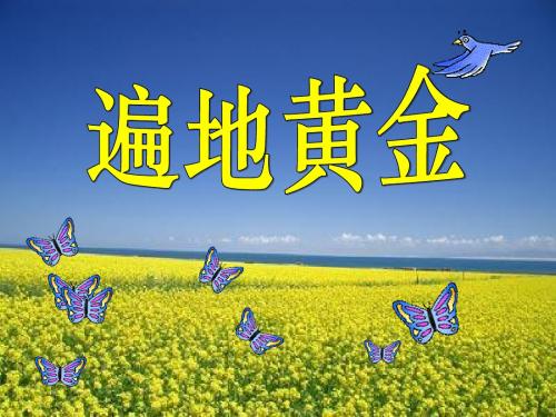 《遍地黄金》 精品PPT课件3(18张)