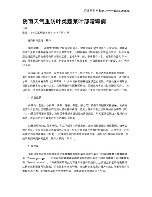 阴雨天气重防叶类蔬菜叶部霜霉病