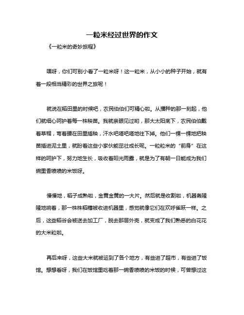 一粒米经过世界的作文