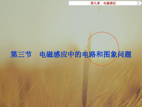 2018高考总复习物理江苏专用课件：第九章第三节