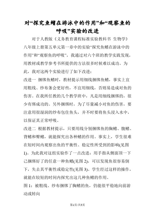 对“探究鱼鳍在游泳中的作用”和“观察鱼的呼吸”实验的改进