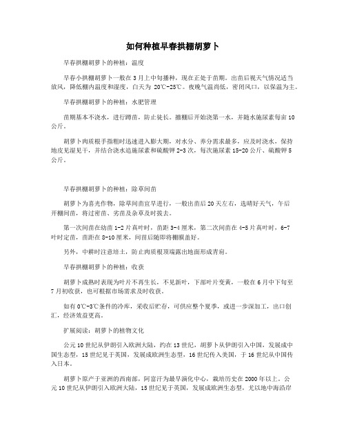 如何种植早春拱棚胡萝卜