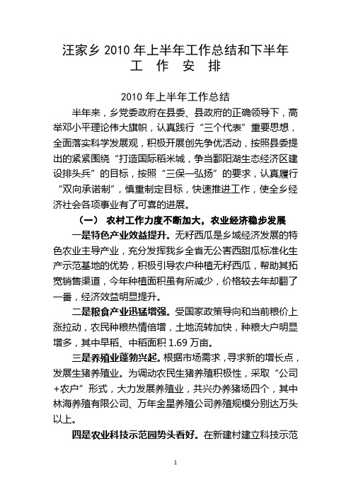 2010年上半年工作总结 新的