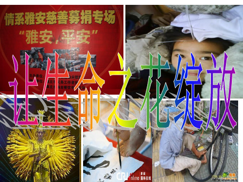 `让生命之花绽放课件_上课版.ppt1