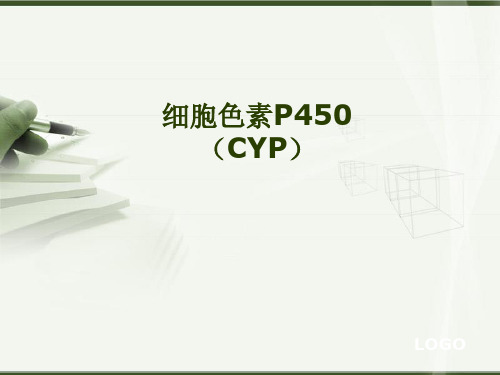 细胞色素P450