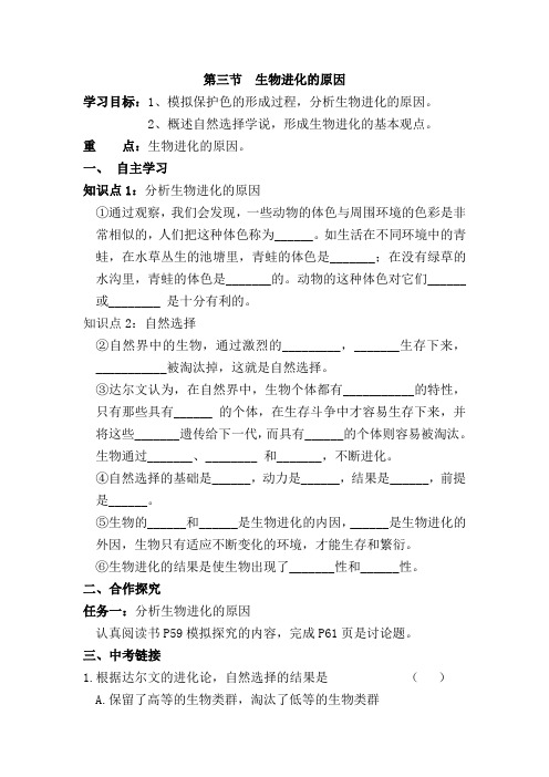 3.3第三节  生物进化的原因