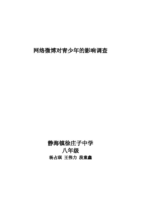 研学 网络微博对青少年的影响调查