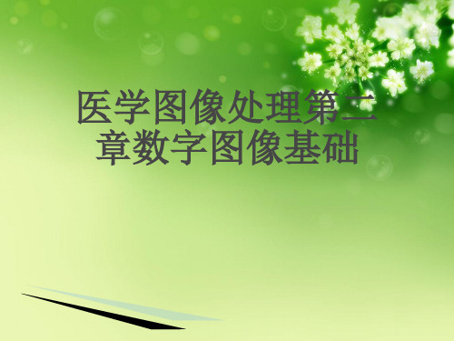 医学图像处理第二章数字图像基础