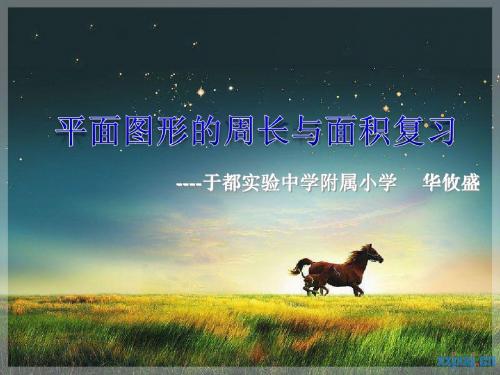 人教版六年级下册平面图形的周长和面积