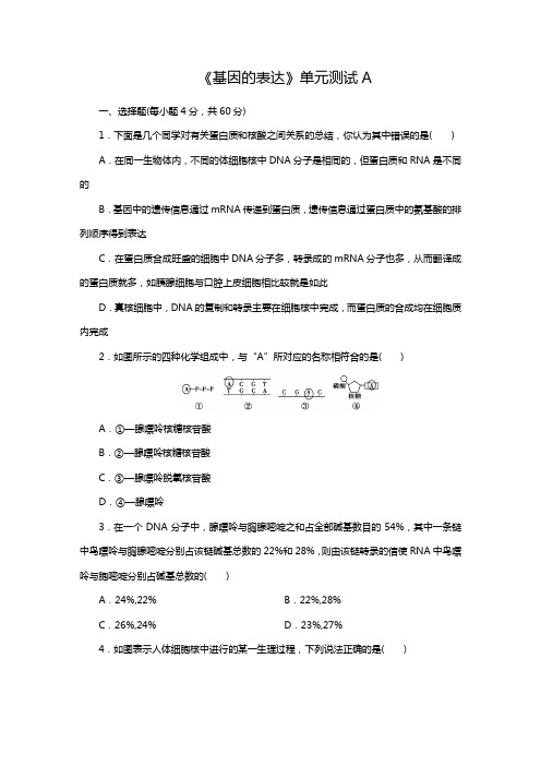 高中生物人教版必修2章节单元测试第四章单元测试A