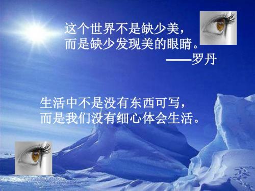 六年级语文下册习作四《一个有趣的实验》 优秀课件3苏教版