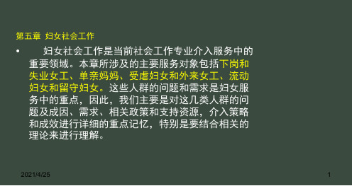 社工实务妇女社会工作-文档资料
