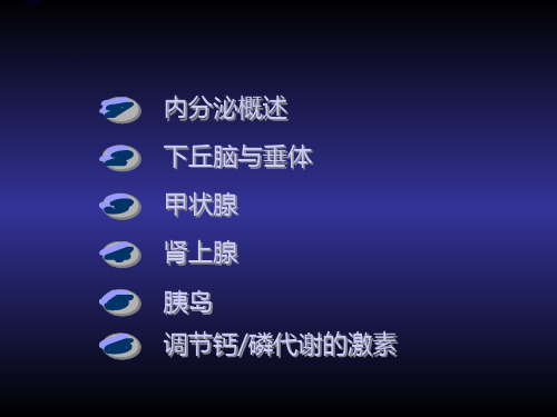 (11)内分泌_PPT幻灯片