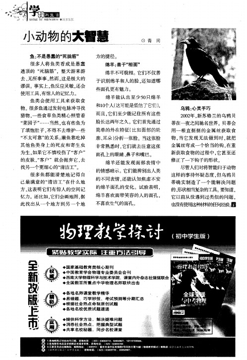 小动物的大智慧
