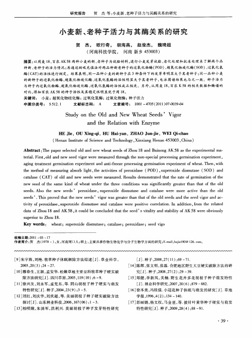 小麦新、老种子活力与其酶关系的研究