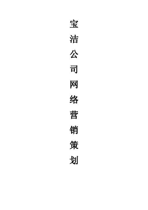 宝洁公司网络营销策划