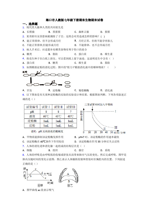海口市人教版七年级下册期末生物期末试卷