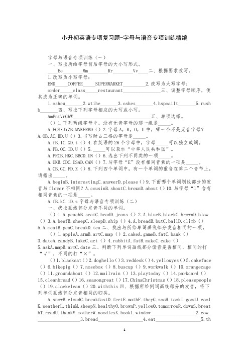 小升初英语专项复习题-字母与语音专项训练精编