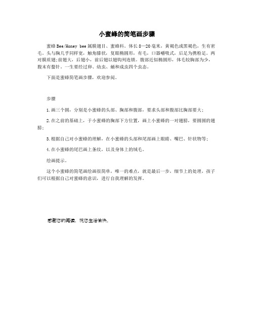 小蜜蜂的简笔画步骤