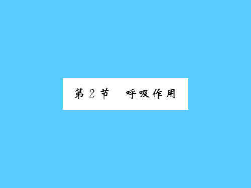 5.2 呼吸作用 2020秋北师大版七年级上册生物习题课件PPT