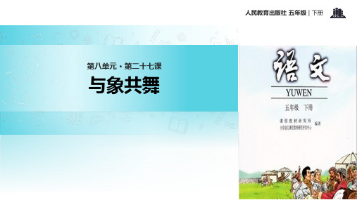 与象共舞  PPT课件