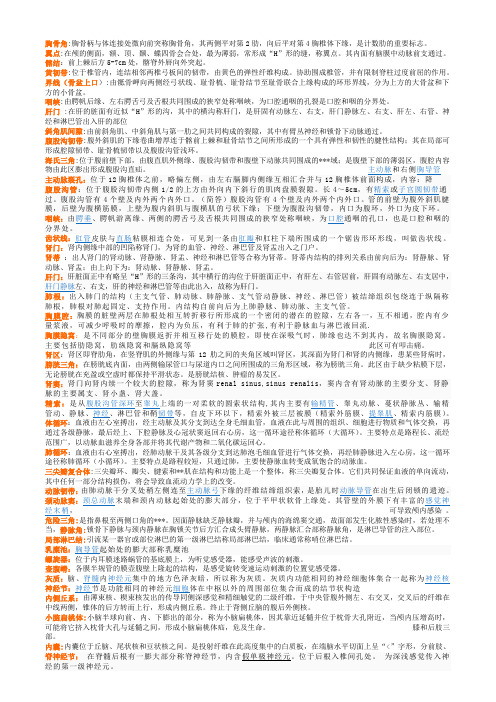 系解名词解释