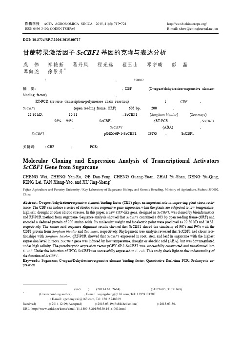 甘蔗转录激活因子ScCBF1基因的克隆与表达分析