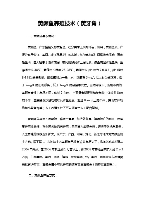 黄颡鱼养殖技术