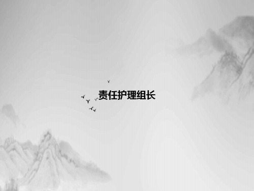 责任护理组长课件PPT