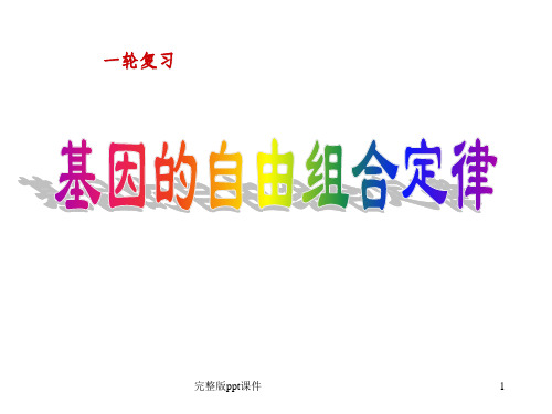 一轮复习基因的自由组合定律ppt课件