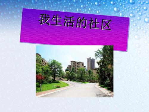 《我生活的社区》家庭学校社区PPT课件2
