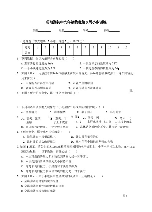 九年级物理下学期第3周小步训练苏科版