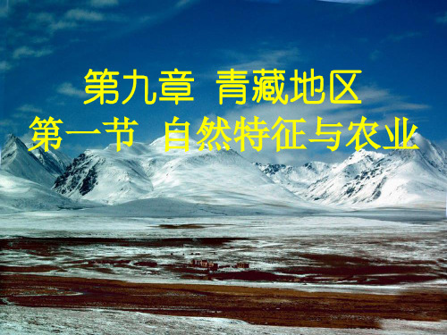 人教版八年级地理下册优秀PPT- 自然特征与农业(36张)