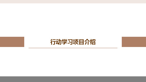 行动学习项目介绍