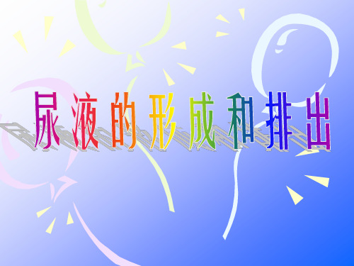 第一节 尿液的形成和排出 (2)