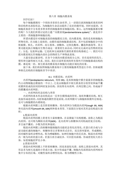 05-2-内膜系统-内质网