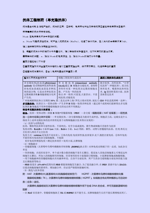 抗体工程技术
