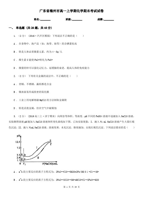 广东省梅州市高一上学期化学期末考试试卷