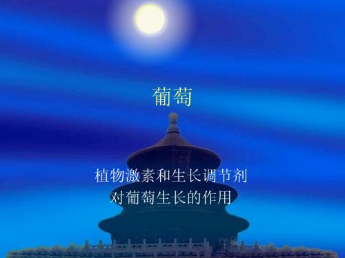 葡萄栽培中植物激素的运用